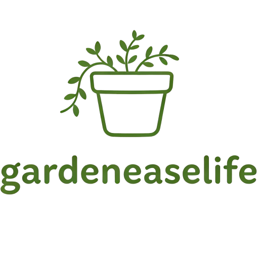 cropped-logo-1.png